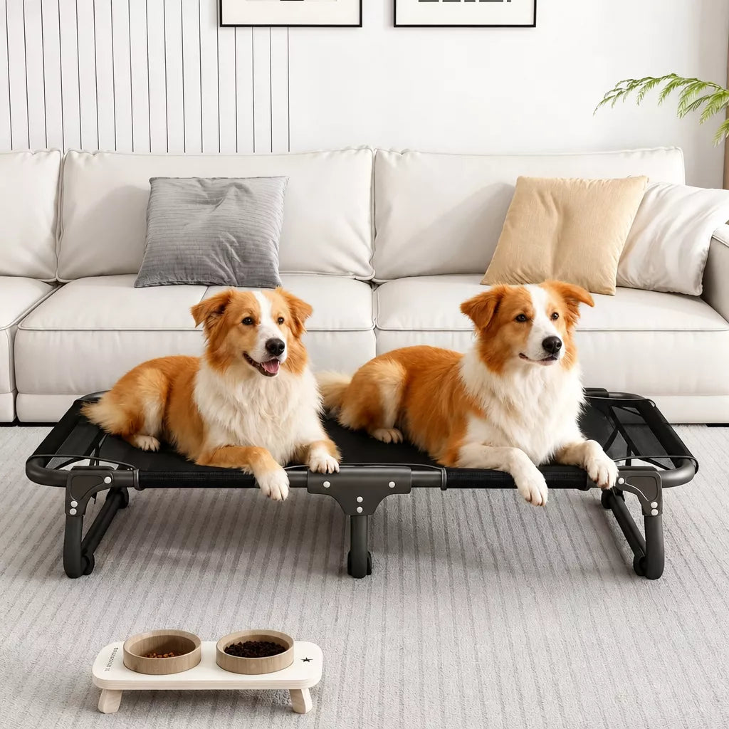 Elevated Folding Dog Cot with Breathable Mesh