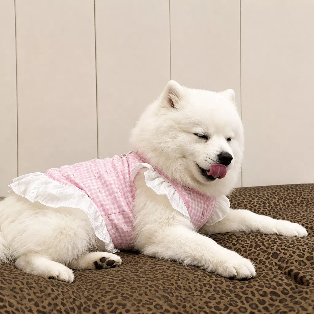 Lightweight Mesh Dog Dress