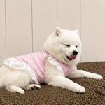 Lightweight Mesh Dog Dress