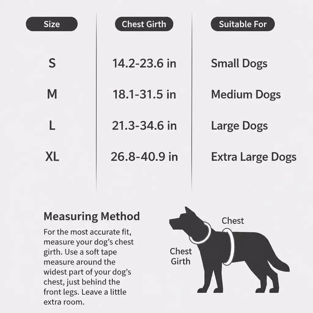 Nylon Dog Harness and Leash Set