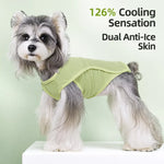 Lightweight Dog Vest for Everyday Wear
