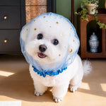 Mesh Dog Muzzle for Small Dogs