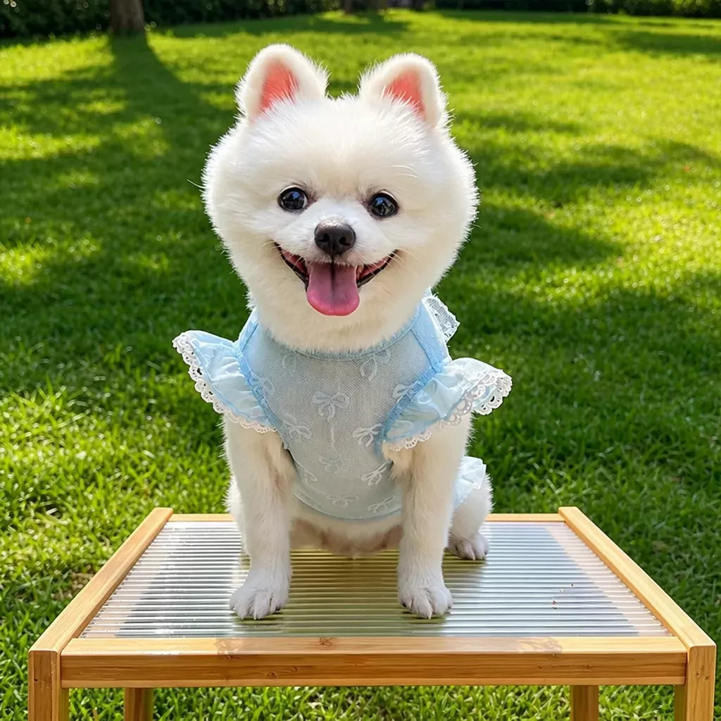 Lightweight Mesh Bow Pet Shirt for Dogs and Cats
