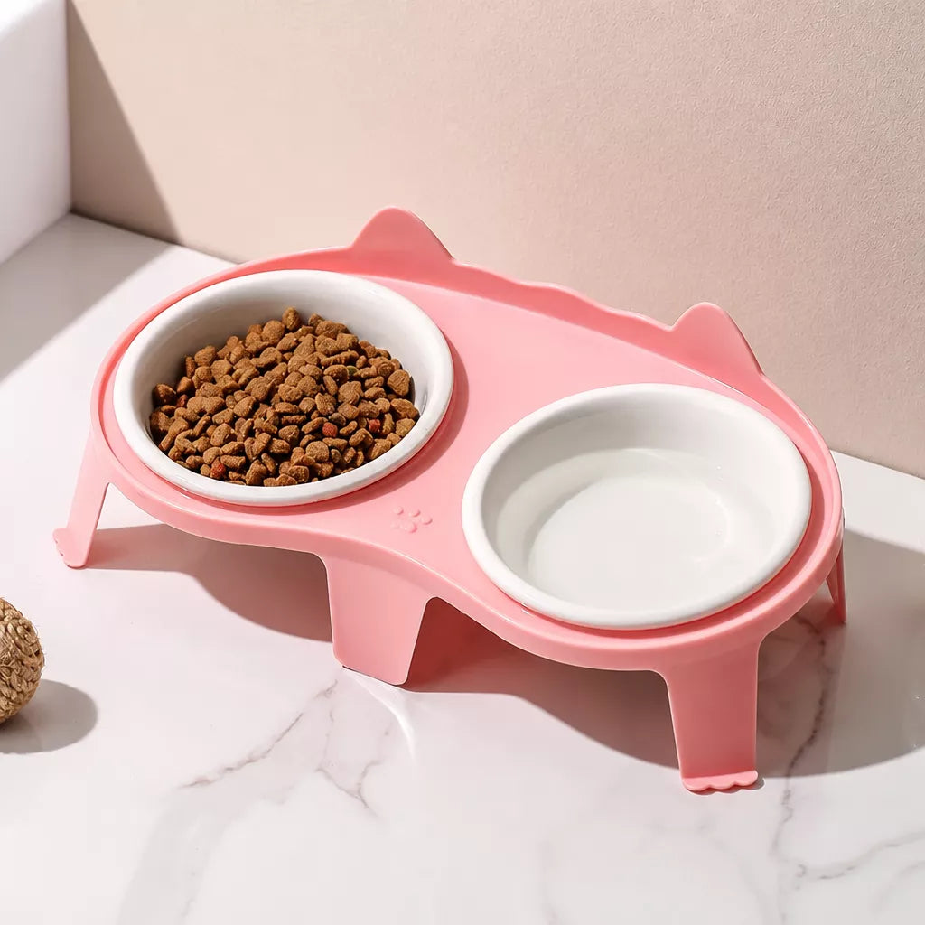 Elevated Ceramic Double Bowl Set for Cats