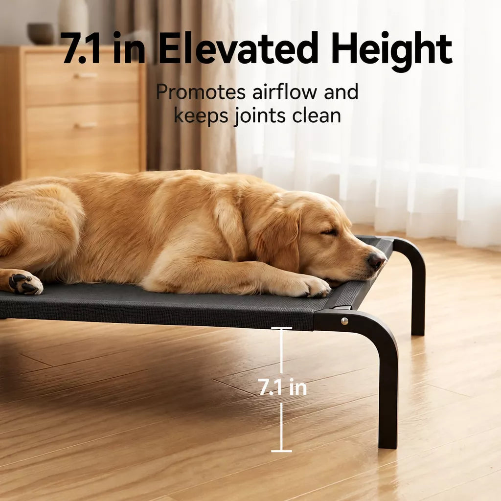 Elevated Dog Cot with Nylon Mesh and Iron Frame