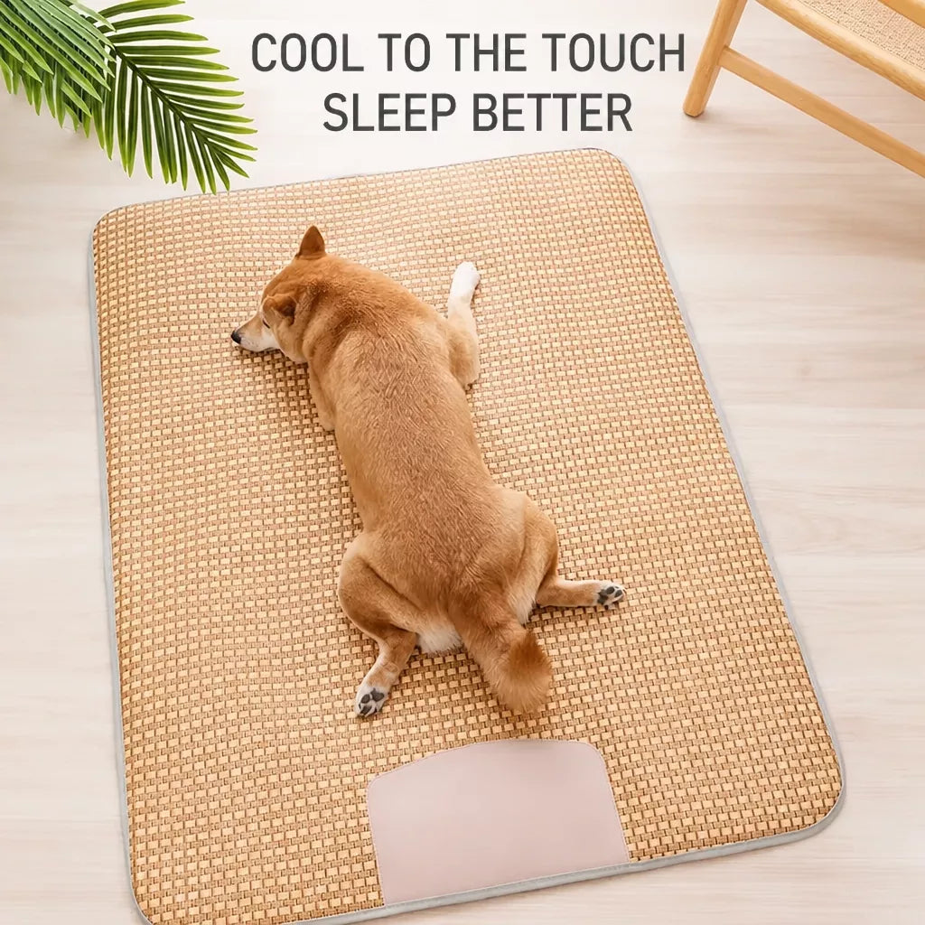 Foam Pillow Mat Pet Bed for Cats and Dogs