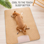 Foam Pillow Mat Pet Bed for Cats and Dogs
