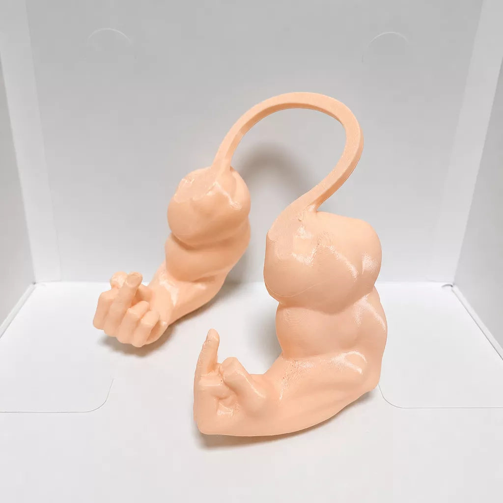 3D-Printed Muscular Arm Pet Neck Accessory